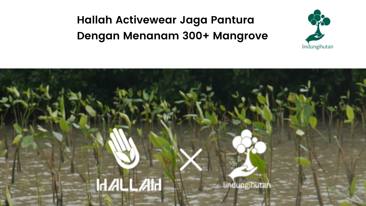 Hallah Activewear jaga pantura dengan menanam mangrove.