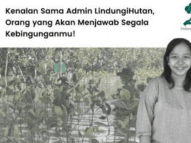 Cerita Hanum Tiastanti Admin LindungiHutan.