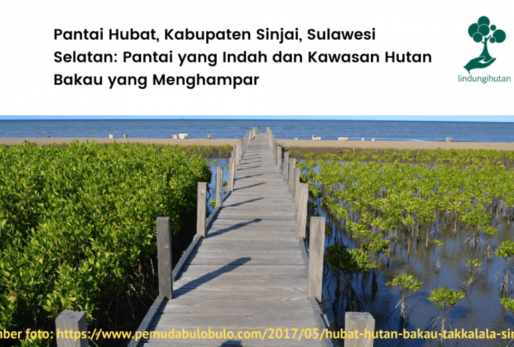 Lokasi penanaman LindungiHutan di Pantai Hubat, Sinjai, Sulawesi Selatan.