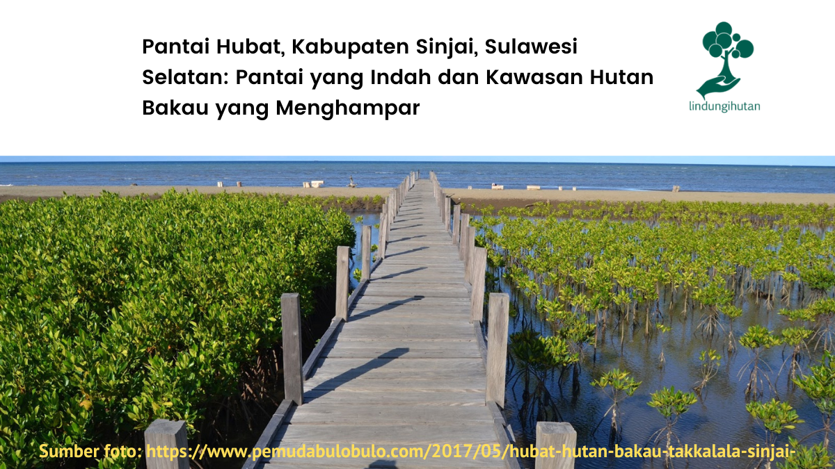 Lokasi penanaman LindungiHutan di Pantai Hubat, Sinjai, Sulawesi Selatan.