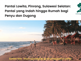Menilik Pantai Lowita, Sulawesi Selatan, lokasi penanaman LindungiHutan.