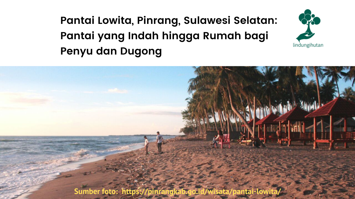 Menilik Pantai Lowita, Sulawesi Selatan, lokasi penanaman LindungiHutan.