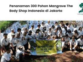 Penanaman 300 mangrove oleh The Body Shop.