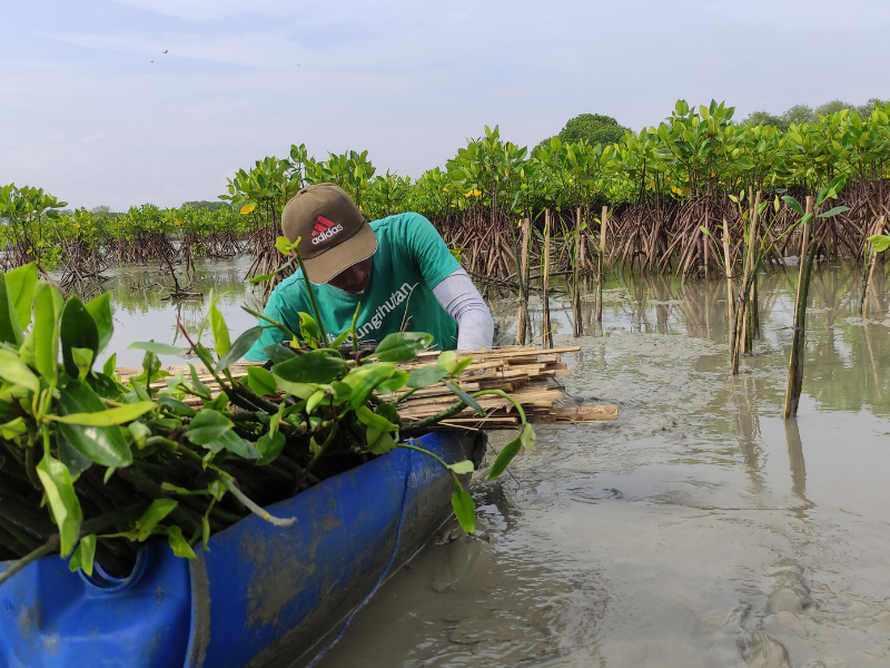 Mitra petani LindungiHutan menanam bibit mangrove hasil kerjasama dengan HALLAH Activewear.