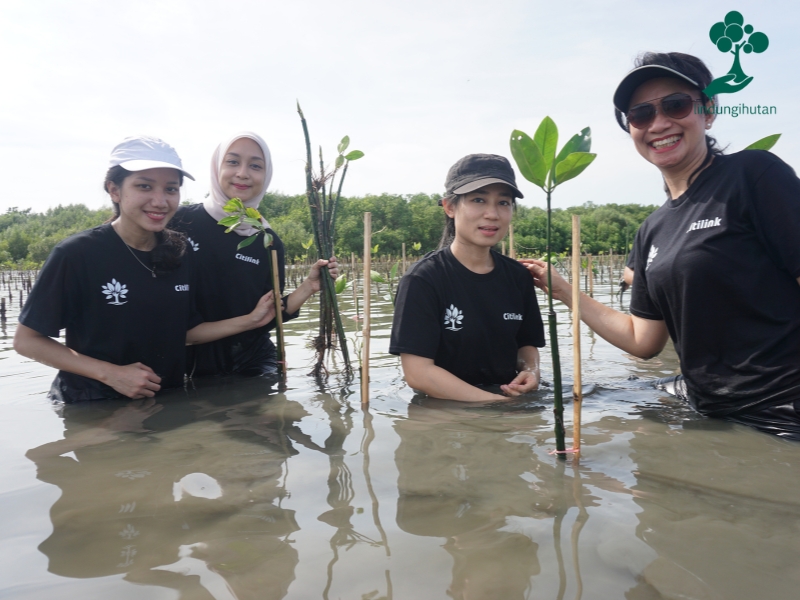 Karyawan Citilink ikut menanam mangrove.