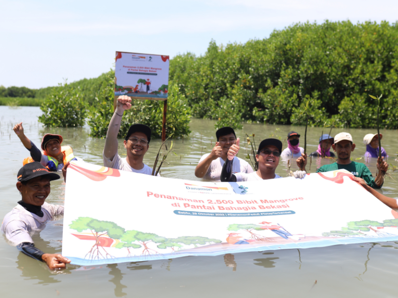 Penanaman mangrove PT Bank Danamon Indonesia Tbk