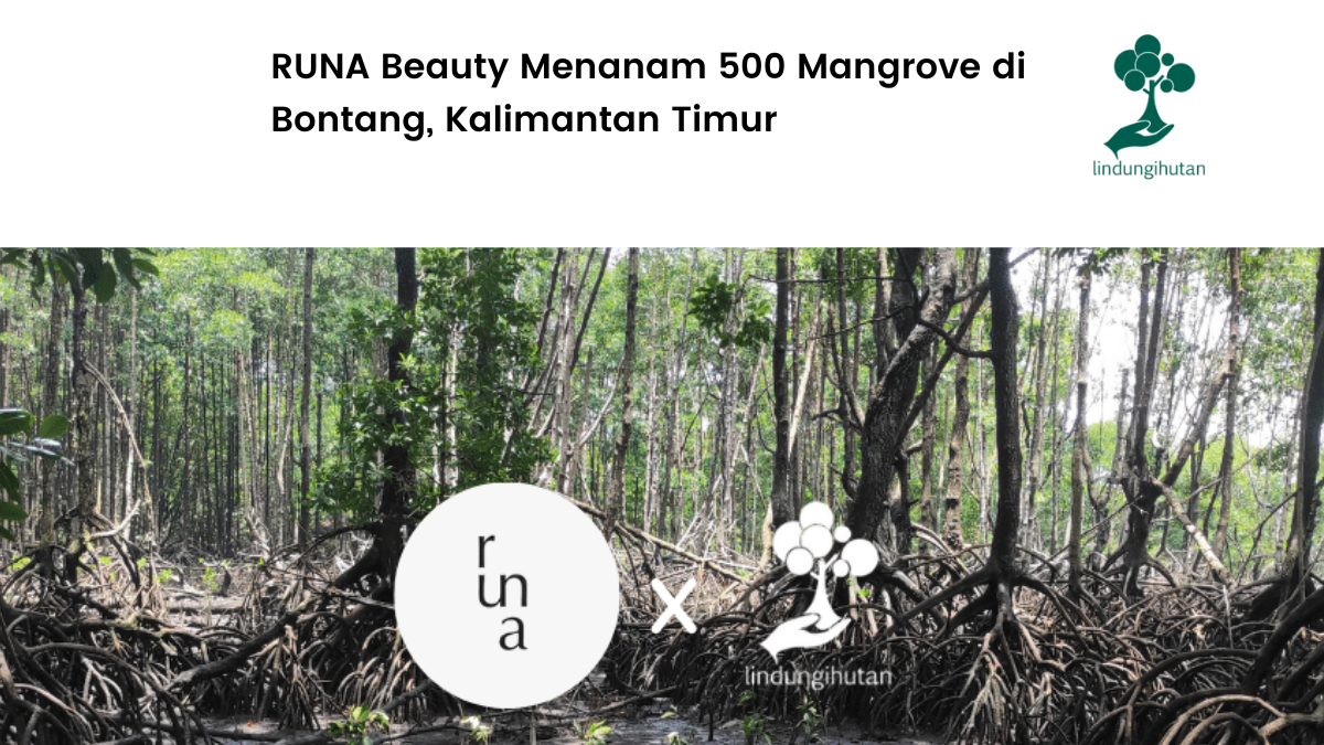 Runa Beauty Inisiasi penanaman mangrove.