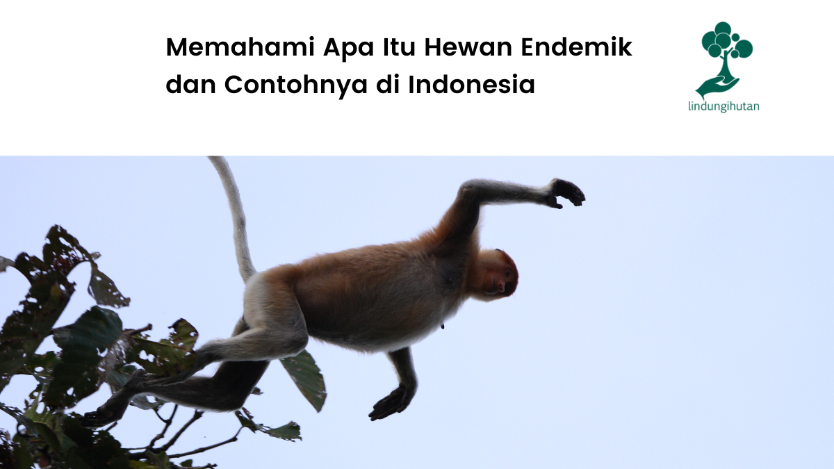 Mengenal hewan endemik di Indonesia.