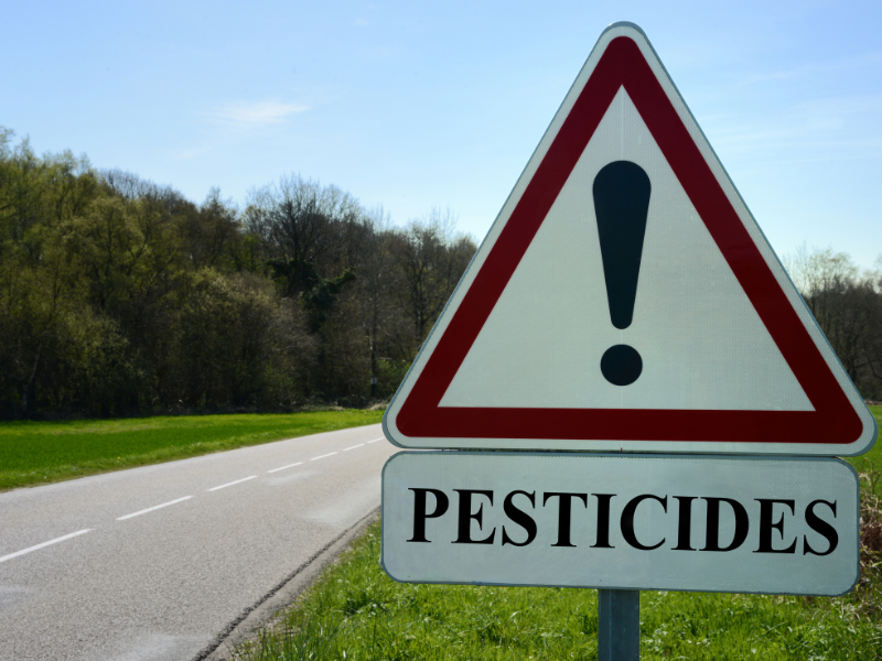 Penggunaan pestisida yang berlebihan tentu berbahaya.