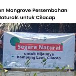 Segara Naturals menanam 900 mangrove di Cilacap