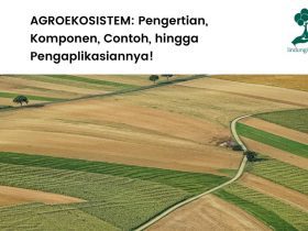 Pengertian agroekosistem dan contoh praktiknya.