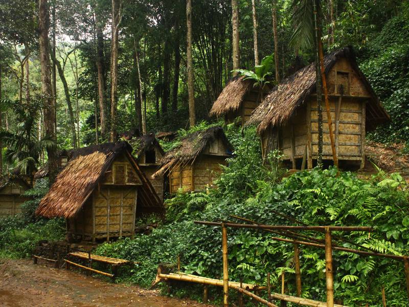 Pengelolaan hutan adat dilakukan oleh masyarakat hutan adat.