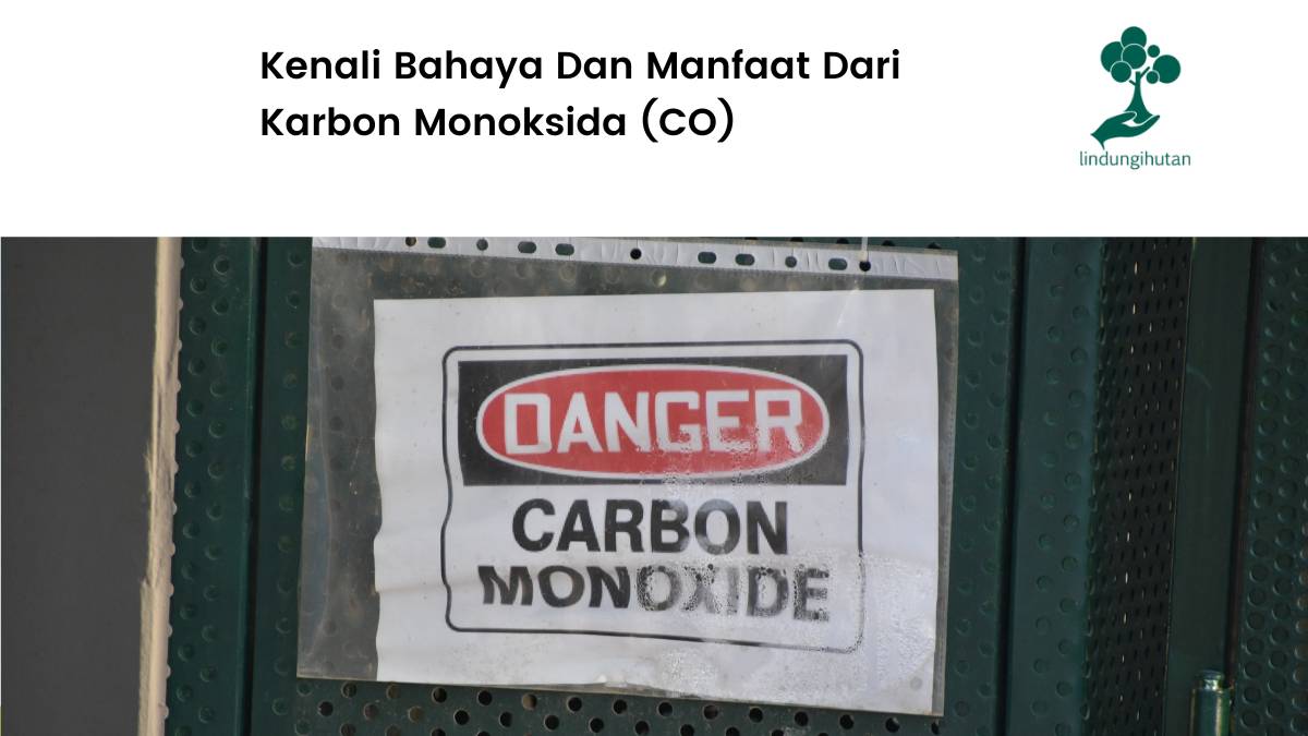 Pengertian karbon monoksida, penyebabnya, hingga bahayannya.