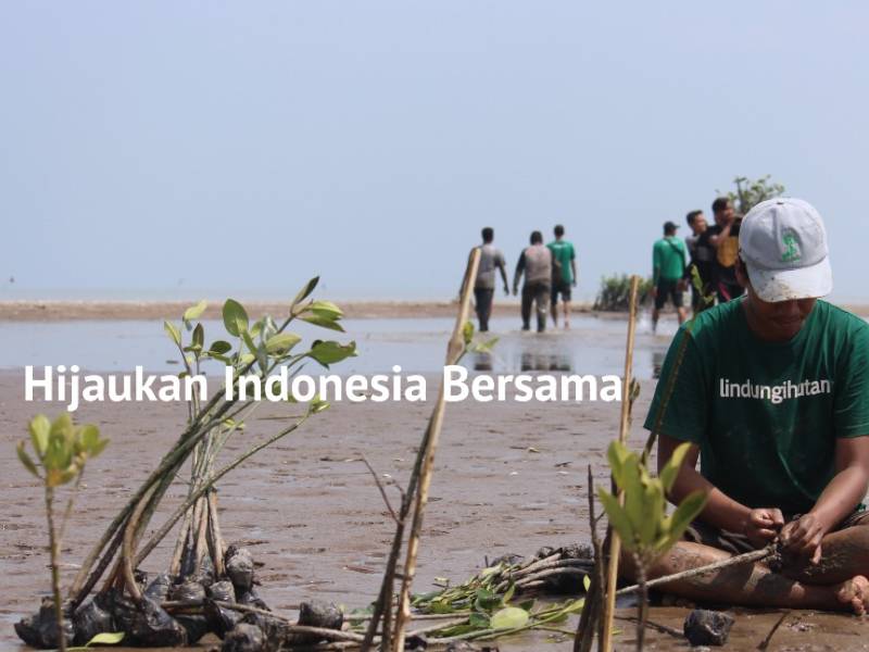 Bersama LindungiHutan menghijaukan Indonesia.