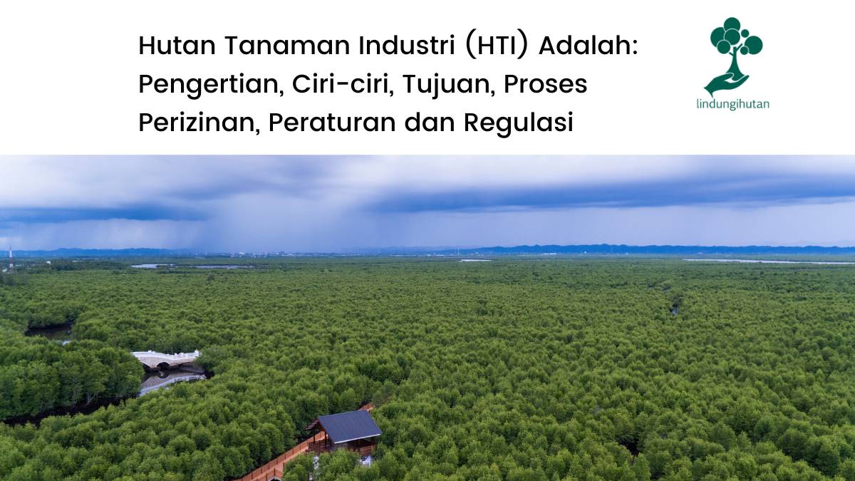 Pengertian hutan tanaman industri hinga peraturannya