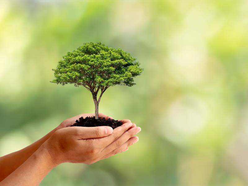 Green business mengurangi dampak lingkungan