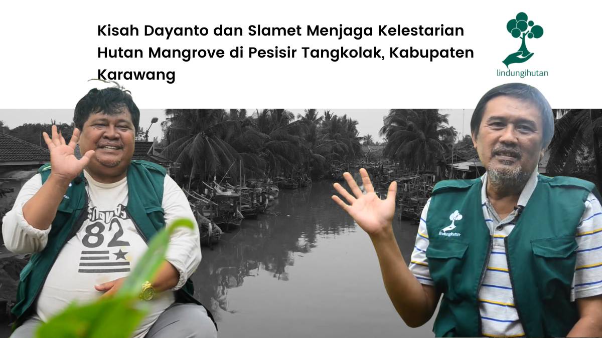 Kisah Dayanto dan Slamet Hijaukan Pesisir Tangkolak.