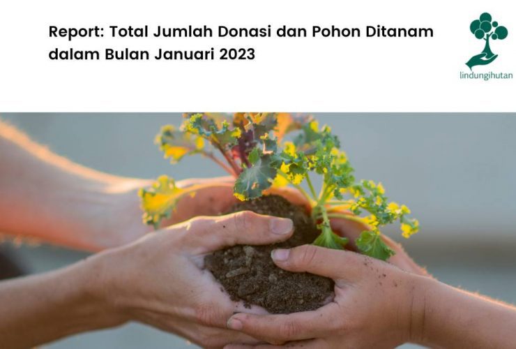Total donasi pohon LindungiHutan Bulan Januari 2023.