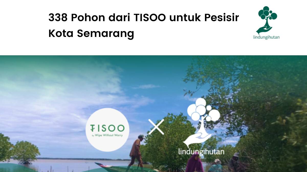 TISSO tanam mangrove di Semarang.