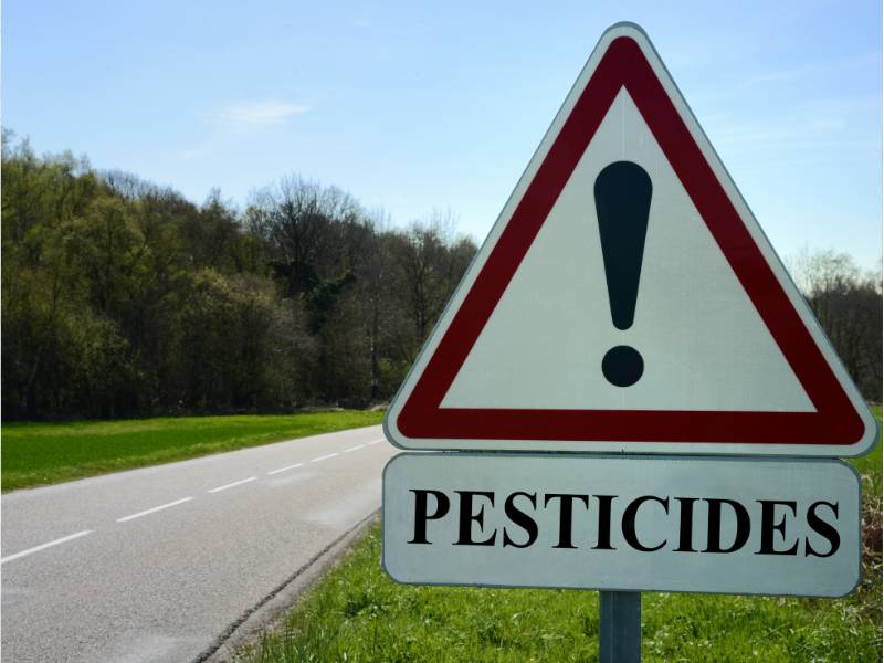 Bahaya pestisida bagi manusia