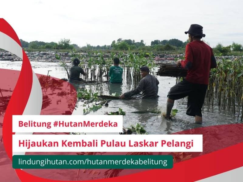 Kampanye alam di Belitung Timur.