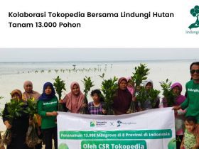 Tokopedia tanam 13000 mangrove