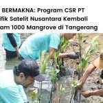 PT Pasifik Satelit Nusantara tanam 1000 mangrove