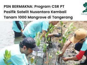 PT Pasifik Satelit Nusantara tanam 1000 mangrove