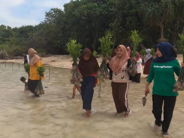 Penanaman mangrove perempuan Pulau Pari Jakarta
