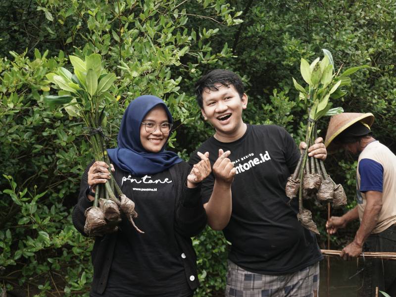 Pentone tanam mangrove di Semarang.