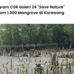 galeri 24 tanam 1000 mangrove
