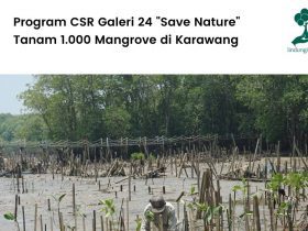galeri 24 tanam 1000 mangrove