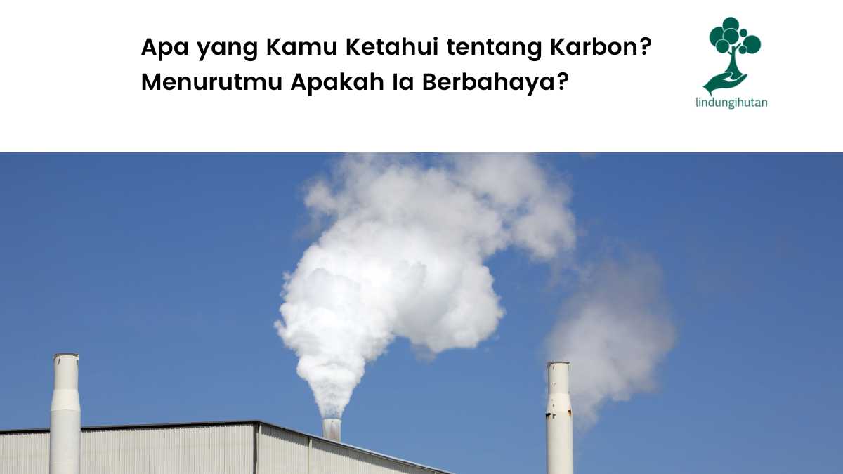 Pengertian karbon dan contoh karbon.