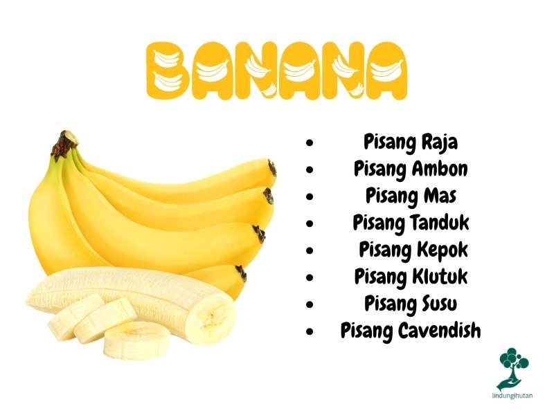Jenis-jenis pisang.
