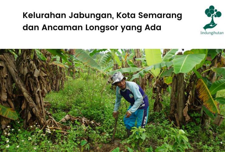 Kondisi Kelurahan Jabungan, Semarang.