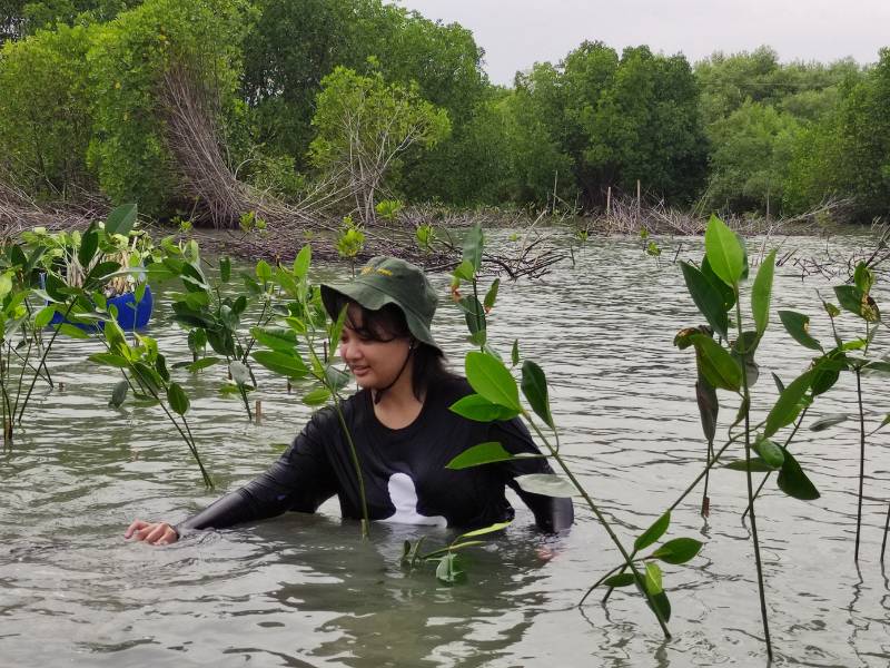 Maharani menanam mangrove dengan LindungiHutan