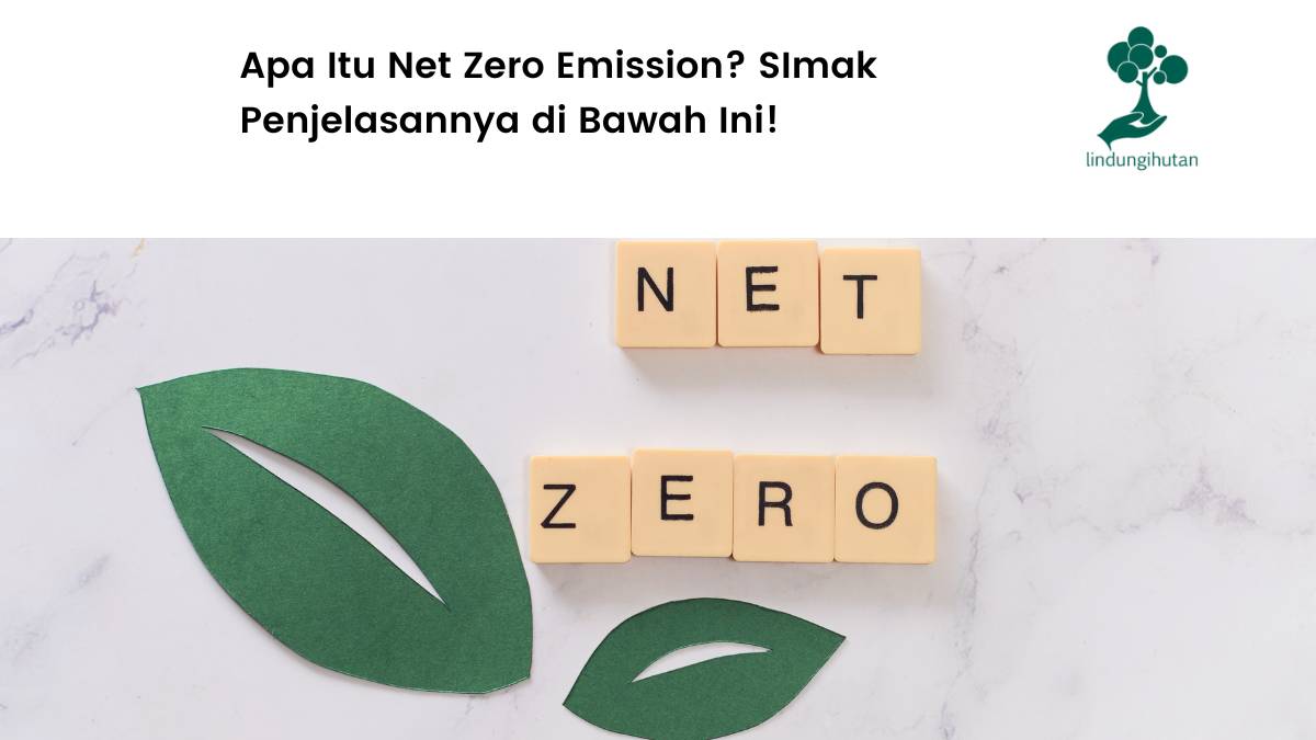 apa itu net zero emission