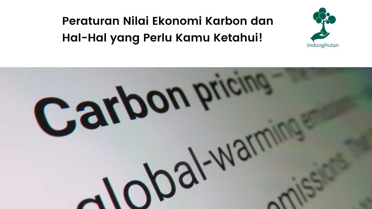 Nilai ekonomi karbon dan penjelasan lengkapnya.