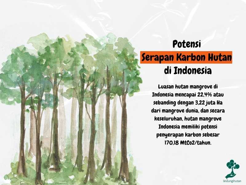 Potensi serapan karbon di Indonesia.