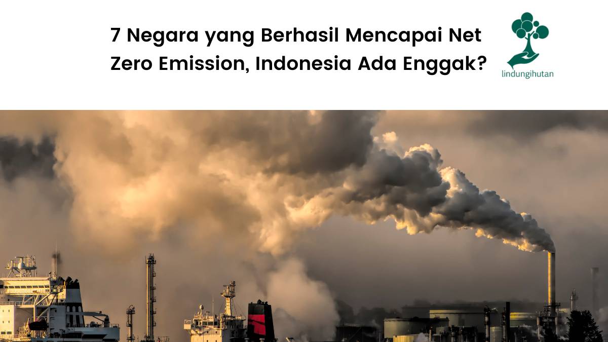7 Negara yang Berhasil Mencapai Net Zero Emission