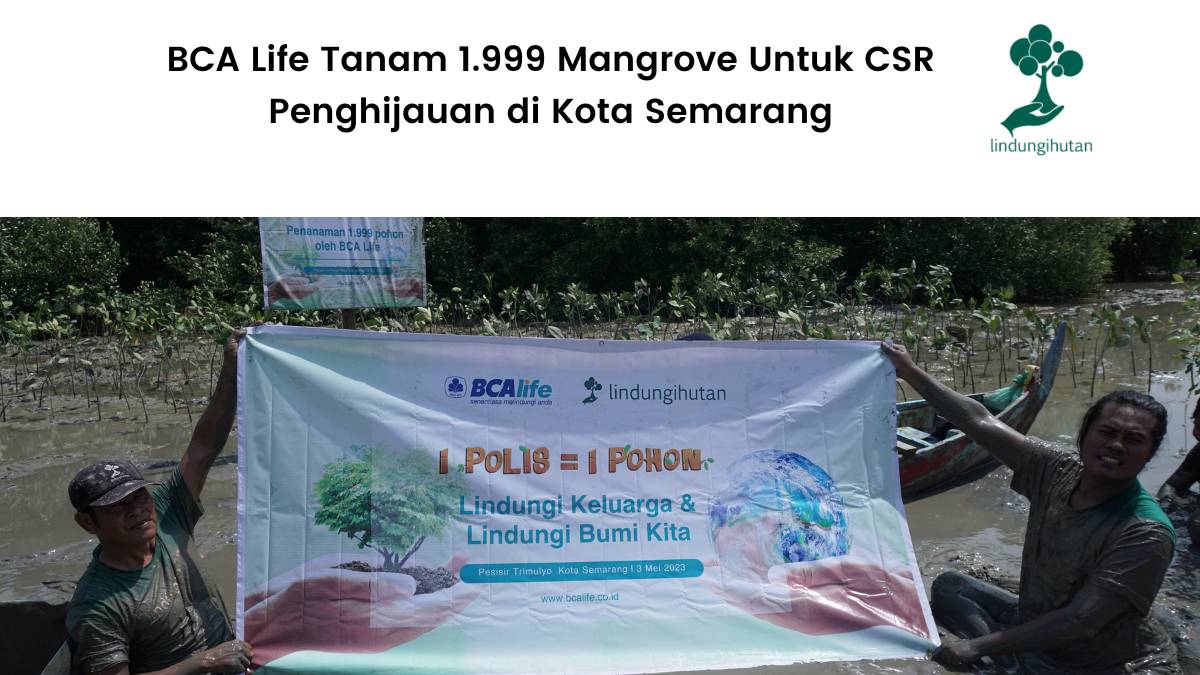 BCAlife Tanam 1.999 Mangrove