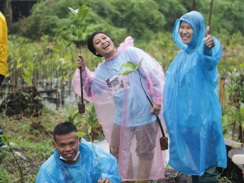 penanaman mangrove pt idemitsu energy indonesia