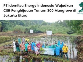 PT Idemitsu Energy Indonesia tanam mangrove