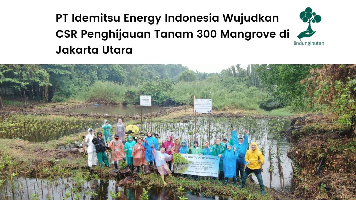 PT Idemitsu Energy Indonesia tanam mangrove