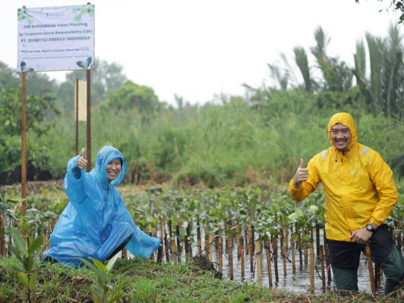 menanam mangrove pt idemitsu energy indonesia