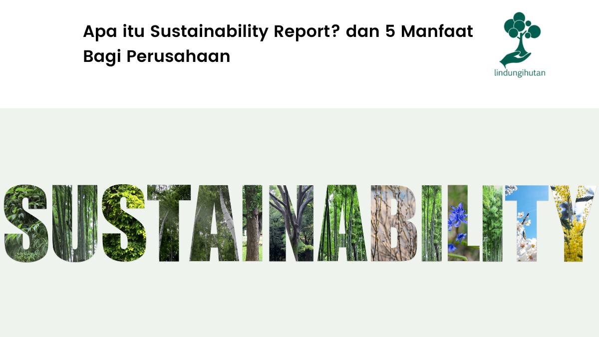 pengertian sustainability report