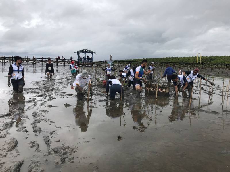 Mangrove mengatasi krisis lingkungan di Pesisir Untia Makassar