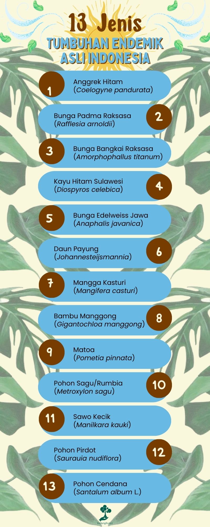 Tumbuhan endemik asal Indonesia.
