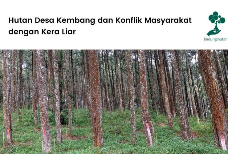 Hutan Desa Kembang Wonogiri