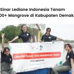 PT Sinar Lediane Indonesia